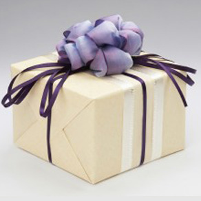 Wrapped Gift (for Secret Sister Gift Exchange)